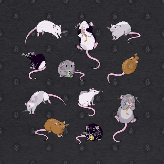 Rats, Rats, Rats by rachelka